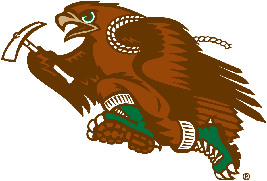 Lehigh Mountain Hawks 1996-Pres Mascot Logo t shirts iron on transfers